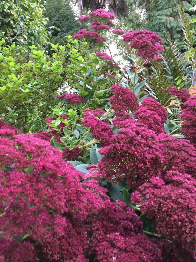L'Hotie De Broceliande, Au Coeur Des Sites Naturels Et Legendaires Paimpont Eksteriør bilde