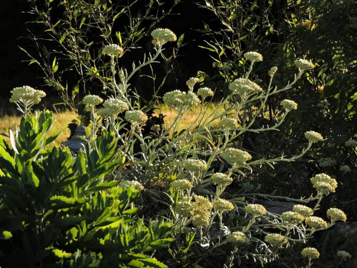 L'Hotie De Broceliande, Au Coeur Des Sites Naturels Et Legendaires Paimpont Eksteriør bilde