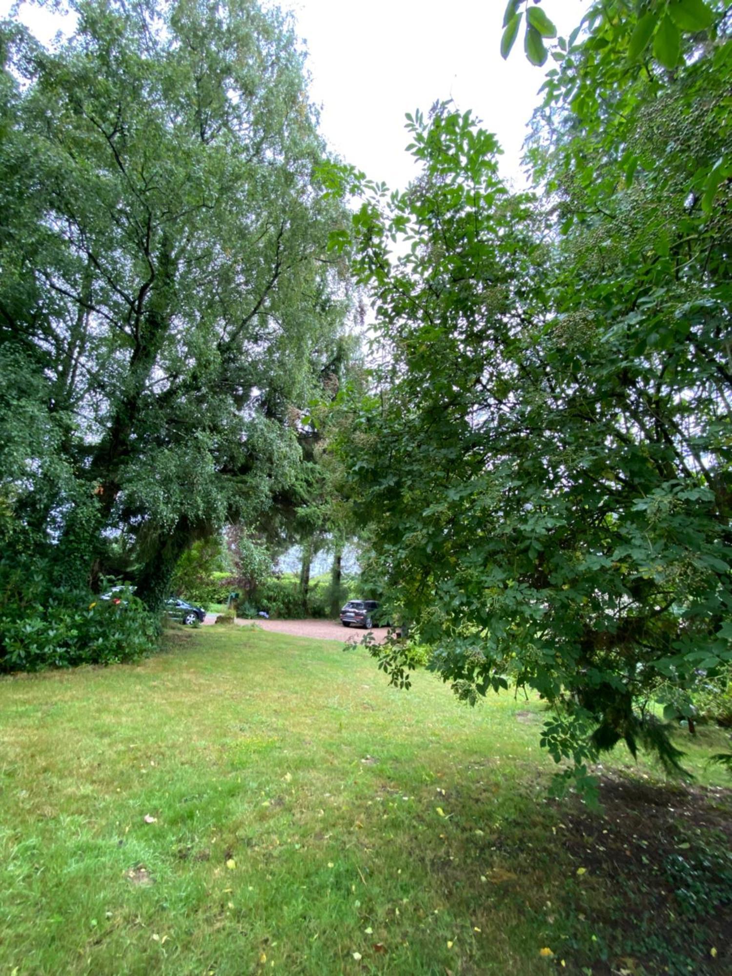 L'Hotie De Broceliande, Au Coeur Des Sites Naturels Et Legendaires Paimpont Eksteriør bilde