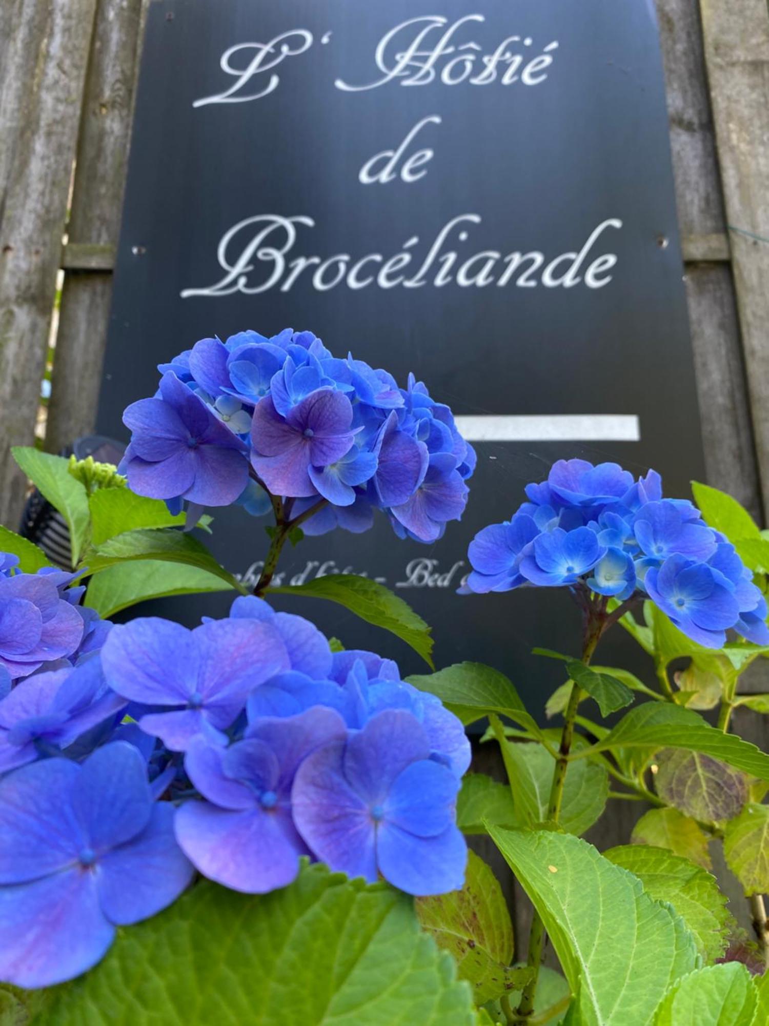 L'Hotie De Broceliande, Au Coeur Des Sites Naturels Et Legendaires Paimpont Eksteriør bilde