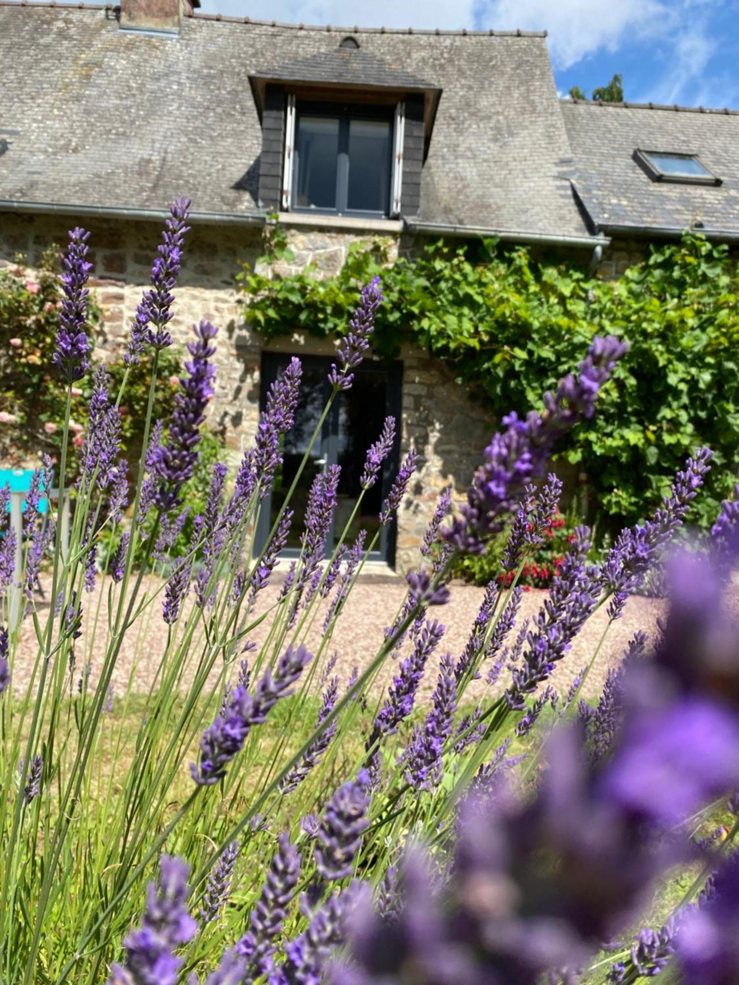 L'Hotie De Broceliande, Au Coeur Des Sites Naturels Et Legendaires Paimpont Eksteriør bilde